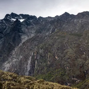 Mt. Baker, Rwenzori Mountains, Uganda