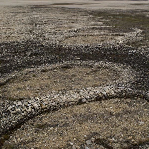 Natural stone circles caused by cryoturbation (aka frost churning), Arctic desert habitat, Palanderbukta (Palander Bay) Zeipelodden, Nordaustlandet, Svalbard, Norway