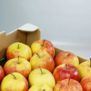 Organic apples, Jonagold