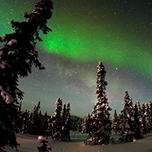 Painting The Sky With The Northern Lights
