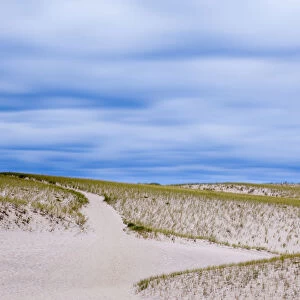 Path through Provinceland Dunes, Provincetown, Cape Cod National Seashore, Massachusetts, USA