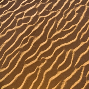 Patterns in the sand, Libyan Desert, Sahara, Libya, North Africa, Africa