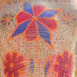 India, Allahabad Painted Elephant Print India, Allahabad Painted Elephant Print