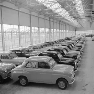 Standard Eight Car Print - A row of four-door saloons waiting to be shipped Standard Eight Car Print - A row of four-door saloons waiting to be shipped