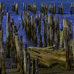 Pier posts In Decay