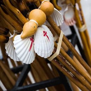Pilgrimage walking sticks with a scallop shell