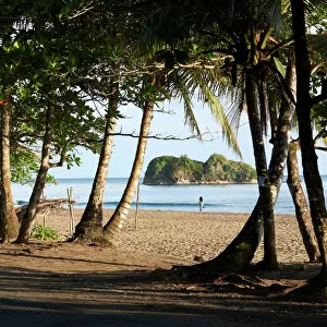 Playa Cocles, Puerto Viejo de Talamanca, Costa Rica, Central America