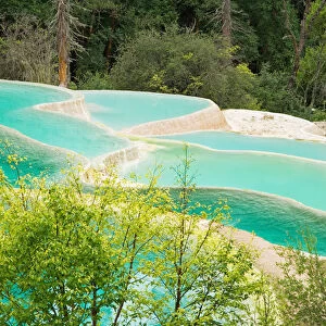 The Pools of Immortals, Jiuzhaigou Valley, Sichuan, China