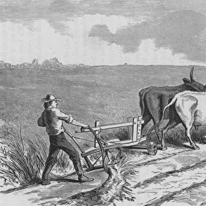 Prairie Ploughing
