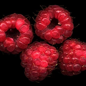 The four raspberries