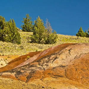 Red Hill Trail, Painted Hills, John Day Fossil Beds National Monument, Mitchell, Oregon, USA