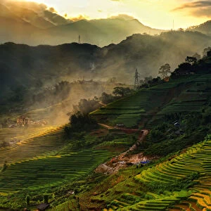 Rice terrace in Sapa, Vietnam