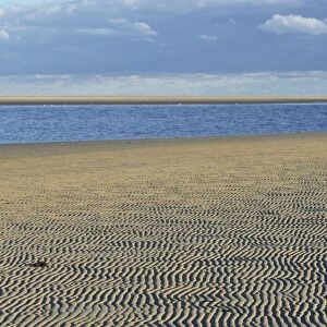 Ripple patterns in front of a tidal creek on the western beach of Spiekeroog, East Frisia, Lower Saxony, Germany