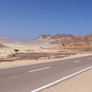 Road in the Sinai desert, Egypt, Africa