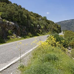 Road to Termessos, Taurus Mountains, Termessos, Antalya Province, Turkey