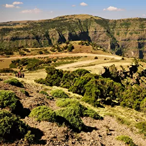 Roof of Ethiopia - Simien National Park