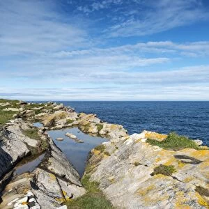 Rugged coastline on the Moray Firth at Tarbat Ness, Scotland, United Kingdom, Europe