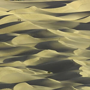 Sand dunes Death Valley National Park, Ca