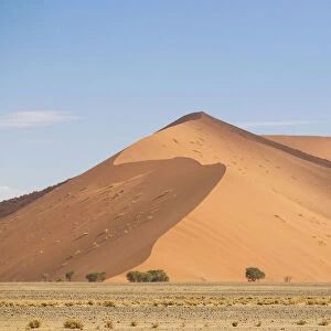 Scenic sand dune landscape, Namib-Naukluft National Park, Hardap Region, Namibia