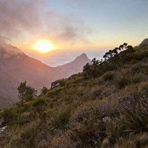 Scenic sunset over Table Mountain and Lions Head as seen from a hiking trail up Devils Peak, Cape Town, Western Cape Province, South Africa