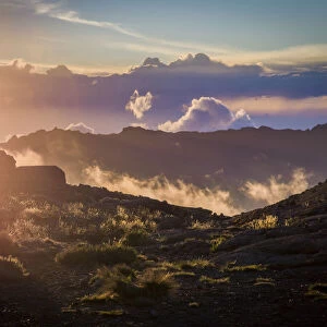 Scenic sunset view from Moir Huts Camp, alpine zone, Mount Kilimanjaro, Kilimanjaro Region, Tanzania