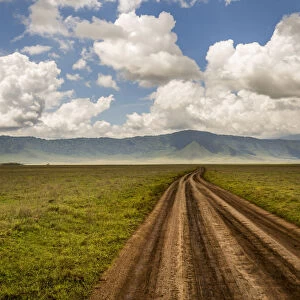 Scenic view of landscape with dirt road, Ngorongoro Crater, Tanzania