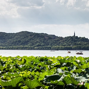 Scenic view of the West Lake in Summer, Hangzhou, Zhejiang, China