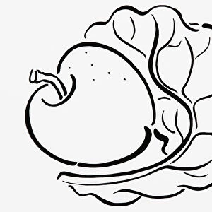 Simple black and white line drawing of apple and lettuce leaf