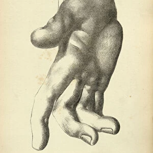 Sketching human hand, palm, open fingers, Victorian art figure drawing copies 19th Century