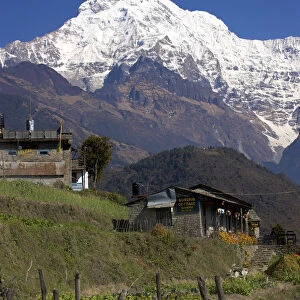 Snow-covered south flank of the Annapurna mountain, a village in the foreground, Annapurna Conservation Area, Nepal, Asia