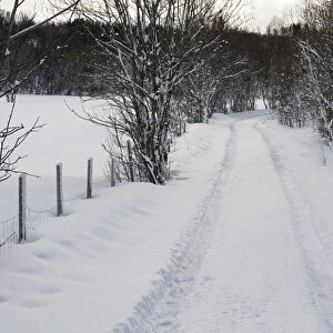 Snowy landscape with footpath, Near Narvik, Troms, Norway