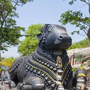 Statue of a decorated holy cow, Nandi Bull, Chamundi Hill, Mysore, Karnataka, India