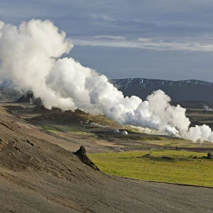Steam column in geothermal area, Skutustaoir, Northeastern Region, Iceland