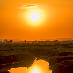 Sunrise with reflections in a lake, Msai Mara National Reserve, Kenya