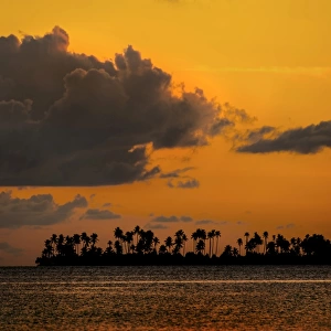 Sunset and an island with palm trees, Sulawesi, Indonesia