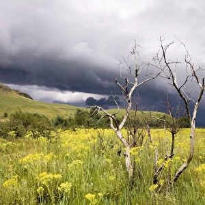 A Thunderstorm Brewing in the Drakensberg Mountains