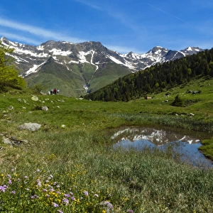 Valley of la Glere, national park of Pyrenees, Hautes Pyrenees, France
