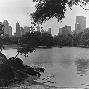 View from Central Park, NYC
