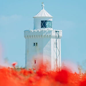 A view of a poppy field with South Foreland lighthouse in the background - stock photo