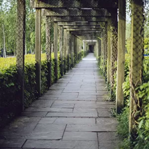 Vine covered passage leading to the entrance of Bru na BAoinne, Ireland