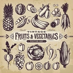 Vintage Fruits & Vegetables Set