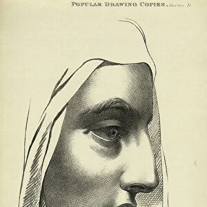 Vintage illustration of Sketching human face, Young woman in profile, Victorian art figure drawing copies 19th Century
