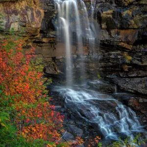 Waterfall in autumn forest in Blackwater Falls State Park, Tucker County, West Virginia, USA