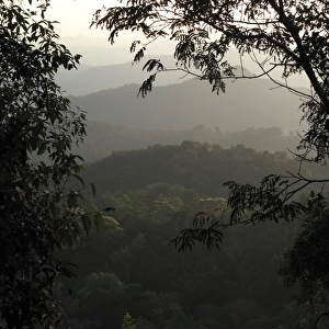 Western Ghats, Munnar, Kerala