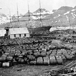 Whaling Station