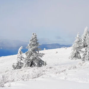 Winter at Lake Tahoe