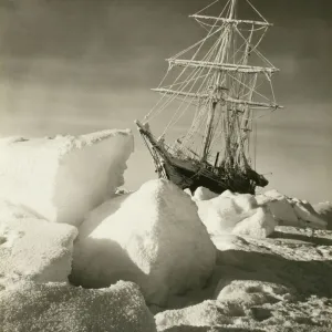 Popular Themes Collection: Trans-Antarctic Expedition