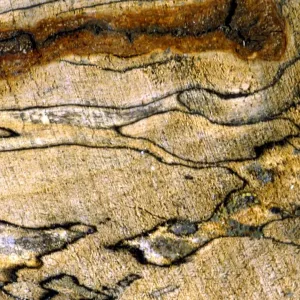 Texture - abstract Texture - abstract