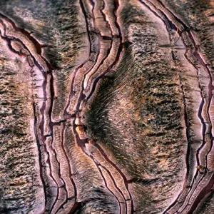 Abstract