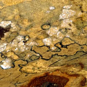 Texture - abstract Texture - abstract